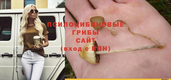 СК Аркадак