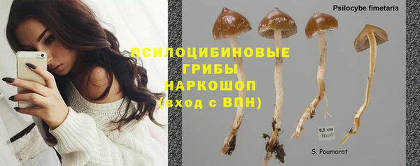 СК Аркадак