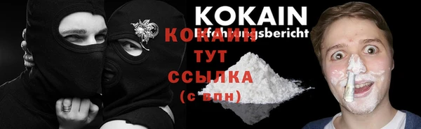 гашик Арсеньев