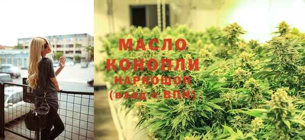 гашик Арсеньев