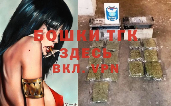 гашик Арсеньев