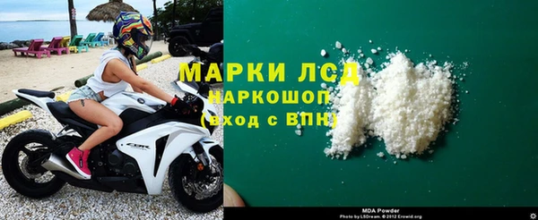 гашик Арсеньев