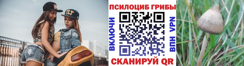 Псилоцибиновые грибы Cubensis Сухиничи